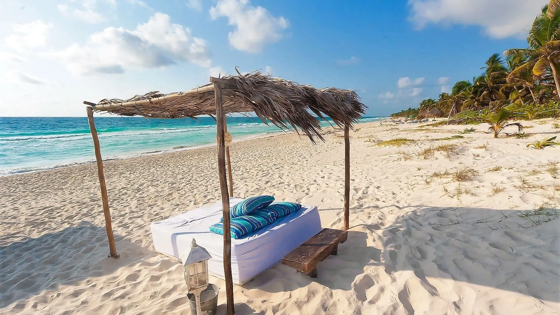 Maya Apartments Tulum kontakter